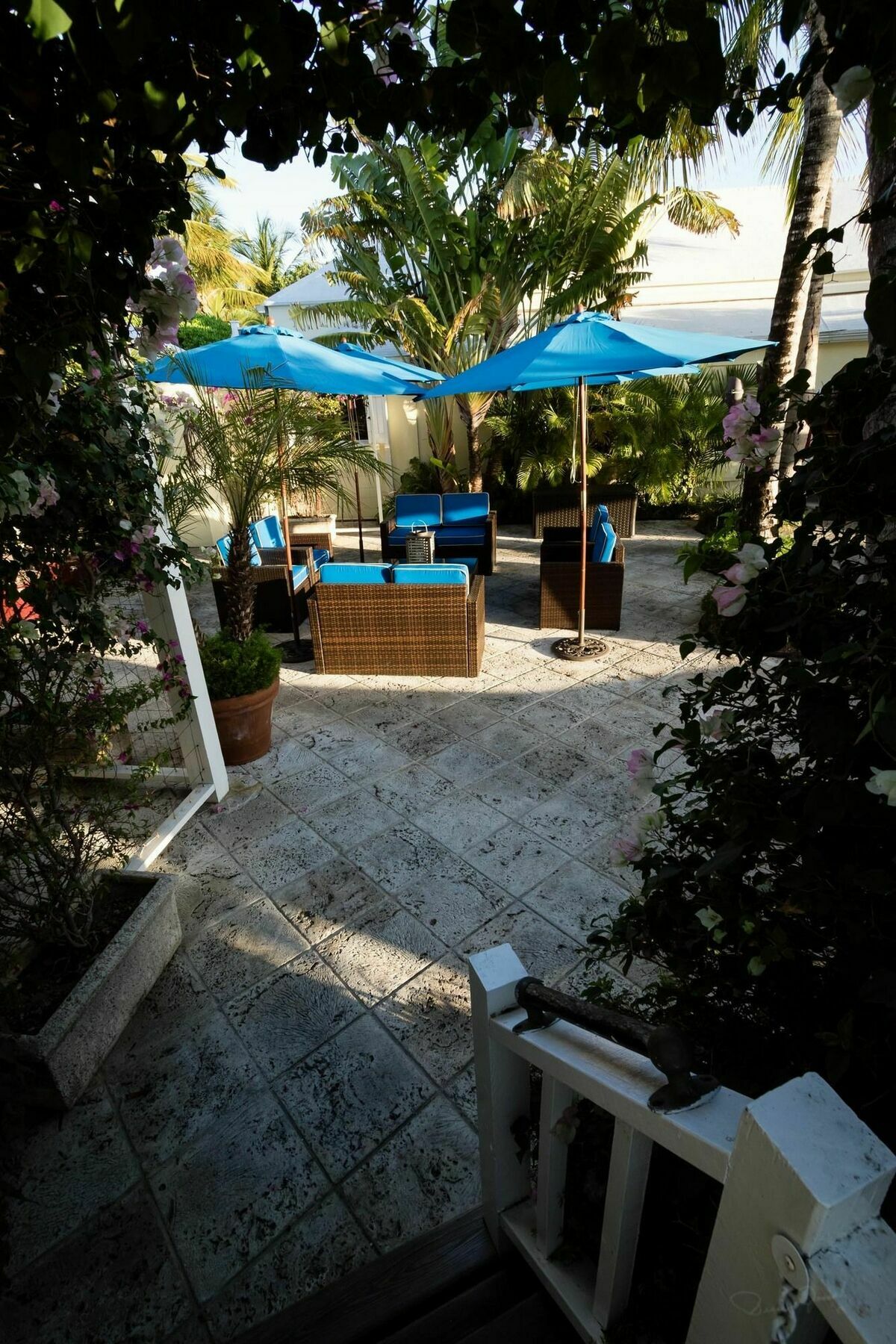 Rock House Harbour Island Hotel Dunmore Town Buitenkant foto